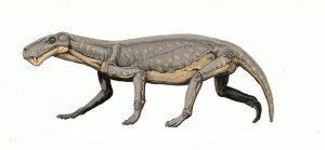 Lycaenops, uno de los primeros mamíferos.